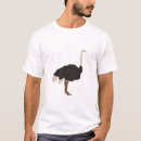 Search for emu bird clothing Illustration