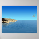 Search for migrating posters Ocean