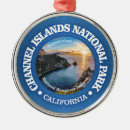 Search for santa cruz christmas tree decorations California