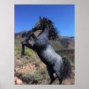 Search for rearing art Horse