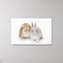 Search for lop art Animal