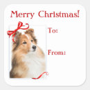 Search for shetland sheepdog stickers Animal