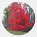 Search for bush stickers Leaves