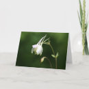 Search for weep cards Funeral
