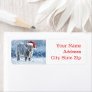 Search for cows return address labels Snow