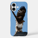 Search for tail iphone cases Raptor