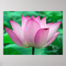 Search for purity art Buddhism