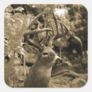 Search for vintage deer stickers Buck