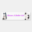 Search for shelter bumper stickers Cats