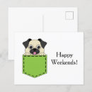 Search for pocket postcards Pet