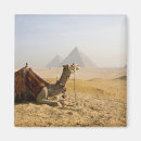 Search for dave magnets Middle east