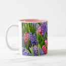 Search for hyacinth flower mugs Flowers