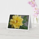 Search for yellow mothers day cards Roses
