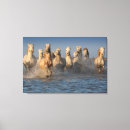 Search for sea horse canvas prints Sand