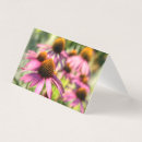 Search for echinacea Flora