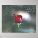 Search for winter rose posters Photography