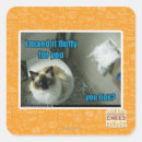 Search for i was there stickers I can has cheezburger