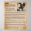 Search for laika posters Dog
