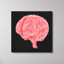 Search for neuroanatomy art Neuroscience