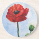 Search for poppy coasters Watercolor