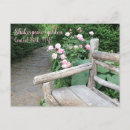 Search for shakespeare postcards Photography