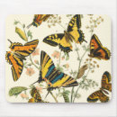Search for caterpillar mousepads Insects