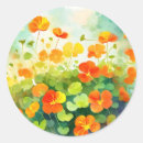 Search for nasturtium stickers Floral