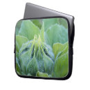 Search for imaging laptop cases Leaves