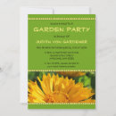 Search for coreopsis Blossom