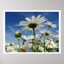 Search for cheery art Flowers