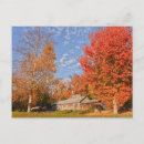 Search for syrup postcards Maple