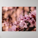Search for macro posters Photography