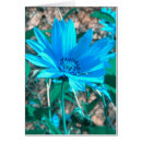 Search for shades photography Blue