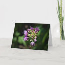 Search for allium cards Bloom