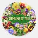 Search for friendship flower stickers Thinking of you pansy