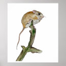 Search for mouse tree posters Animals