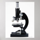 Search for topics posters Nature