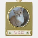 Search for pet memorials Dog