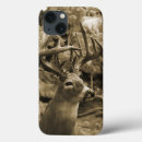 Search for deer cases Wildlife