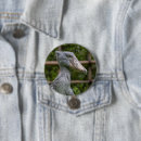 Search for avian badges Ornithology