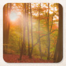 Search for rural scene coasters Landscape