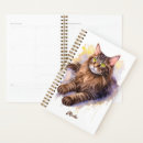 Search for maine coon office school Cats