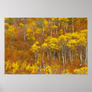 Search for 2 colour posters Fall