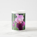 Search for sun tea mugs Nature