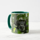 Search for chimpanzee mugs Wildlife