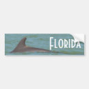 Search for dolphin bumper stickers Beach