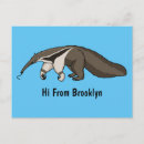 Search for anteating postcards Mammal