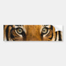 Search for white tigers bumper stickers Animal