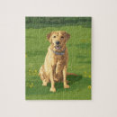 Search for yellow lab puzzles Pets