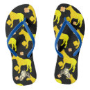 Search for horse shoes Sea